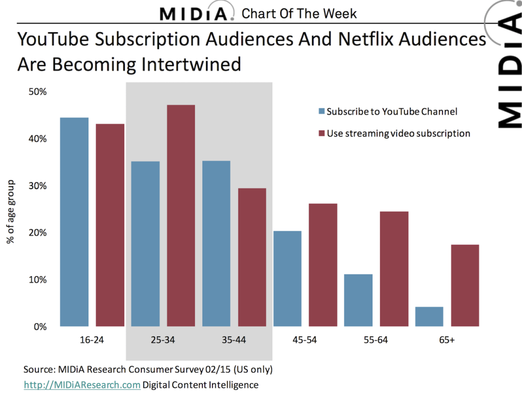 youtube subscribers netflix subscribers demographics